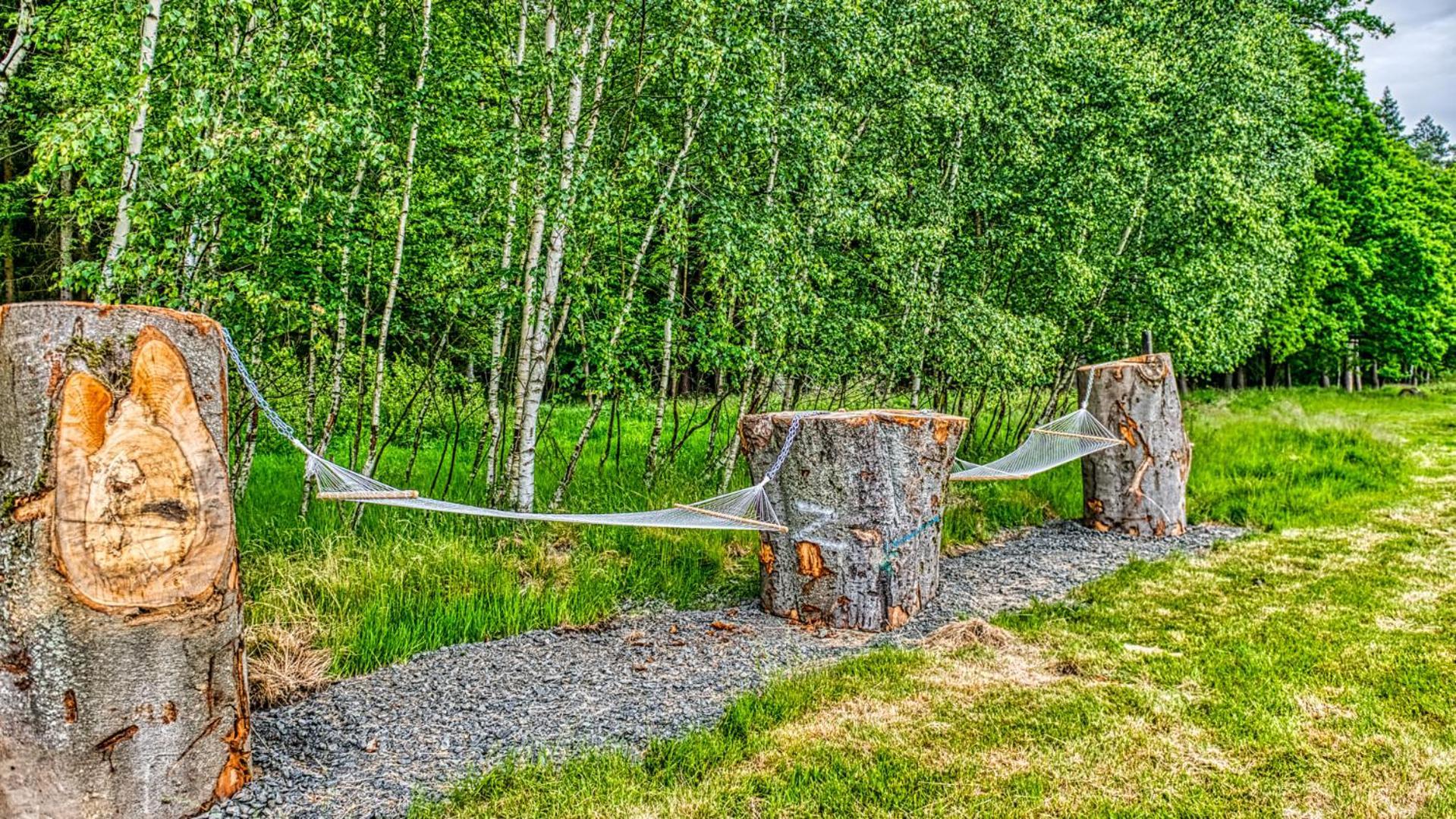 Izerska Baza - Basen, Ebike, Narty, Sauna, Jacuzzi, Las Blisko Swieradow Zdroj - 5D Apartamenty Giebultow  Luaran gambar