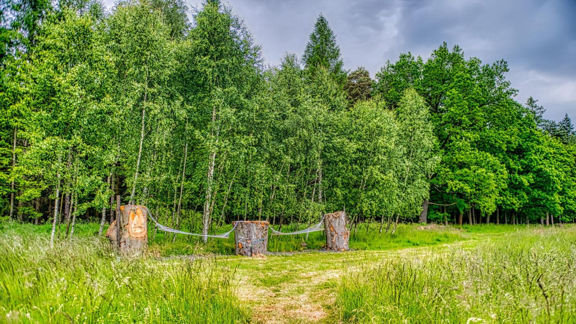 Izerska Baza - Basen, Ebike, Narty, Sauna, Jacuzzi, Las Blisko Swieradow Zdroj - 5D Apartamenty Giebultow  Luaran gambar
